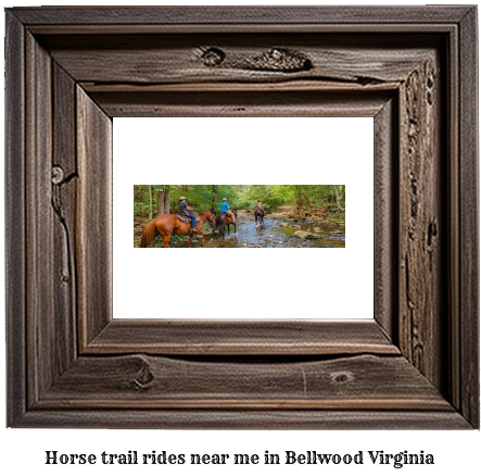 horse trail rides near me in Bellwood, Virginia